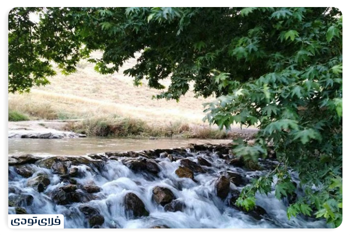 جاهای دیدنی نهاوند چنارهای روستای کنگاور کهنه
