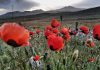 جاهای دیدنی مرند