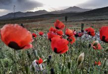 جاهای دیدنی مرند