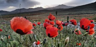 جاهای دیدنی مرند