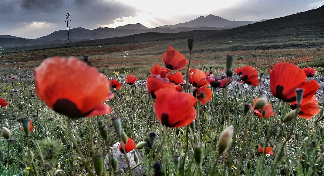 جاهای دیدنی مرند