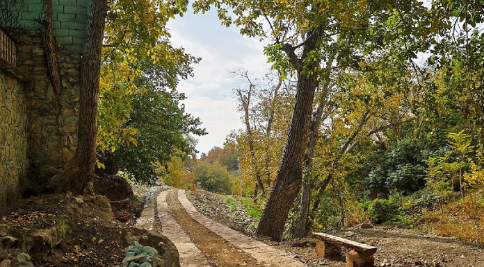 فرحزاد تهران | شکمگردی و کافهنشینی در پایتخت فرحزاد تهران