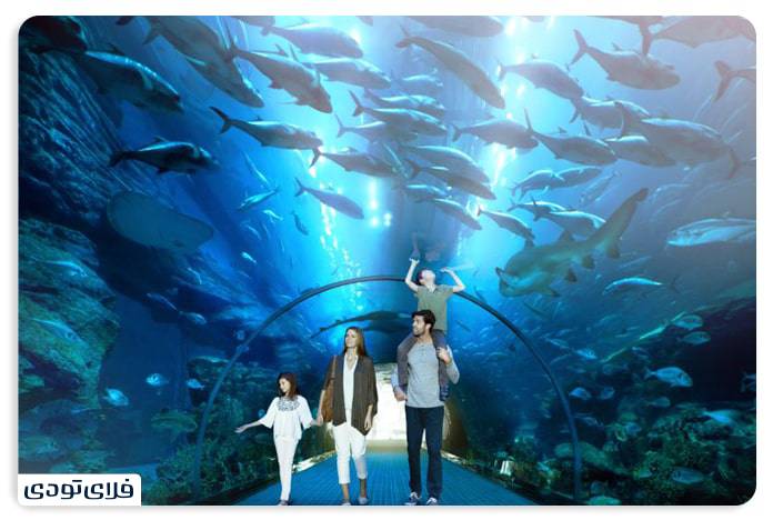 تفریحات رایگان دبی تفریحات رایگان دبی را بشناسید