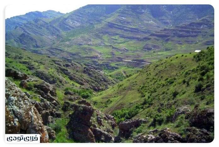 جنگل طبیعی تنباکولو
