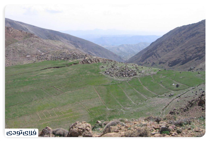 روستای افجه روستای افجه کجاست؟
