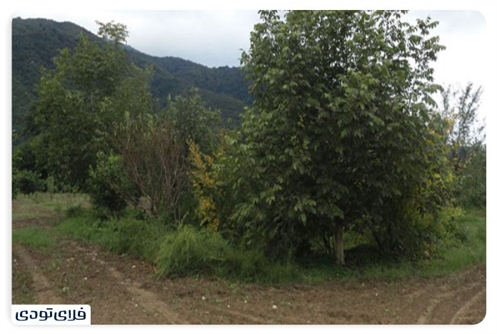 جاهای دیدنی بندرگز روستای کهنهکلباد