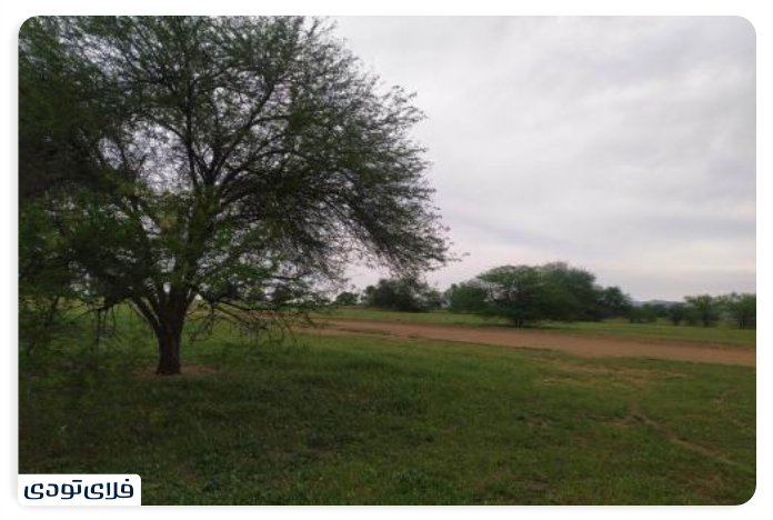 کلارآباد روستای گرکری