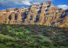 فلای تودی