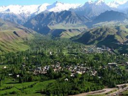 روستای افجه