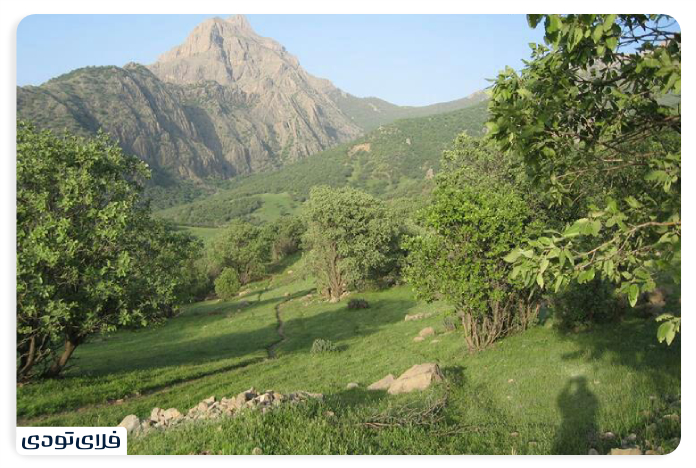 کوه قارون