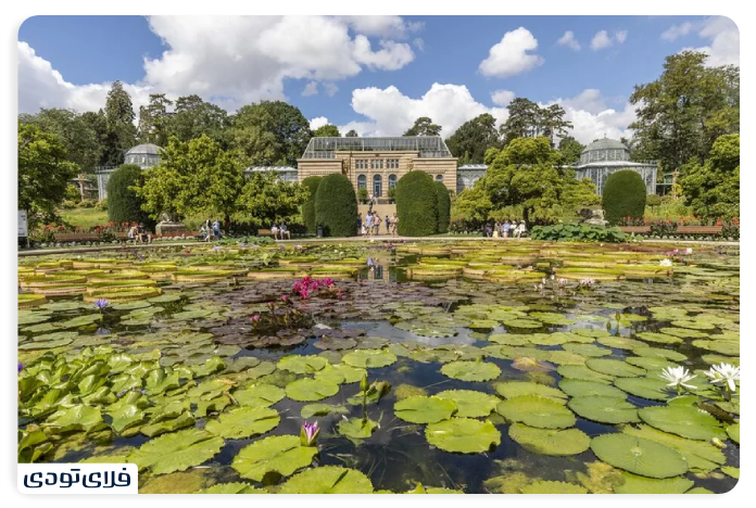باغ‌وحش و باغ گیاه‌شناسی ویلهلما