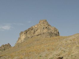 فلای تودی
