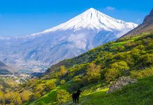 دشت آزو مازندران