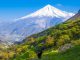 دشت آزو مازندران