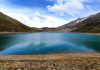 فلای تودی