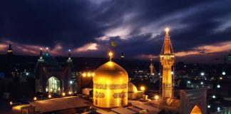 فلای تودی