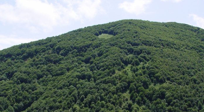 پارک ملی گلستان | زیباترین ذخیره گاه طبیعی ایران پارک ملی گلستان