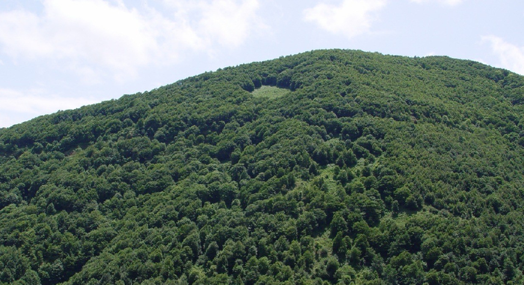 پارک ملی گلستان