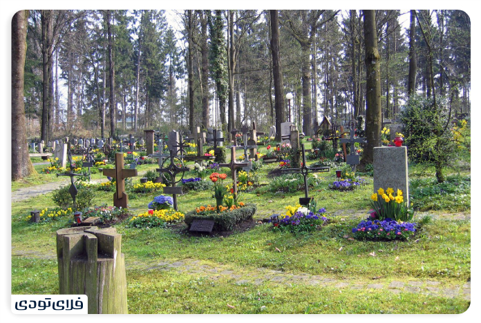 گورستان جنگل