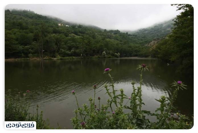 راهنمای کامل سفر به مازندران | نگین سبز شمال ایران