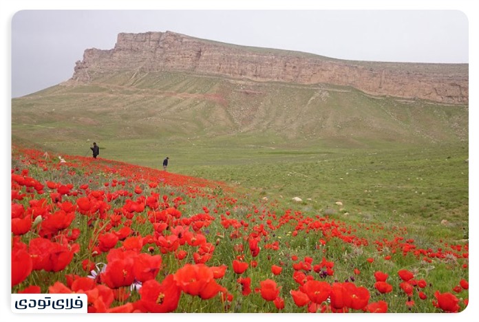 کبودرآهنگ