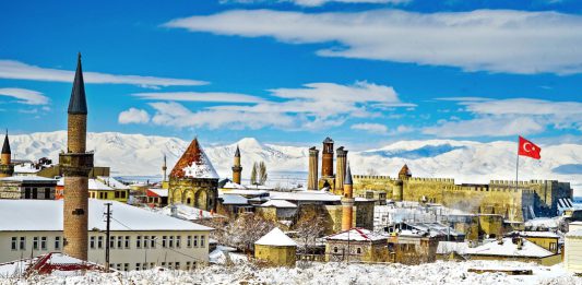 فلای تودی
