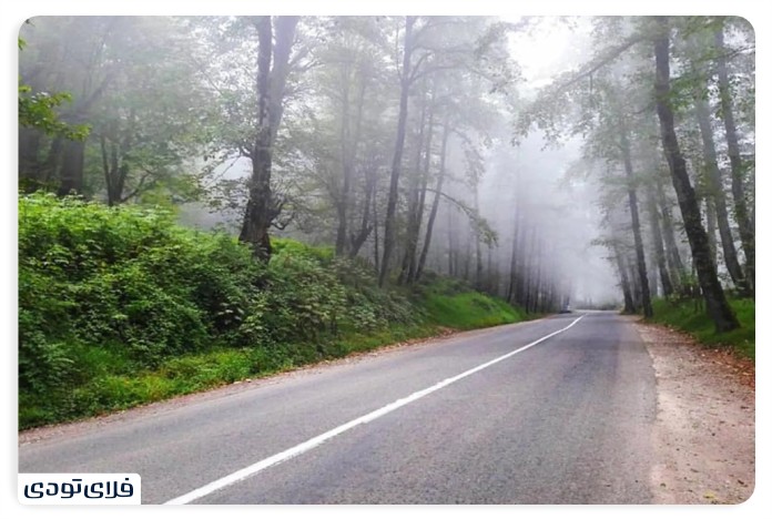 جنگل دالخانی