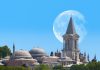 فلای تودی