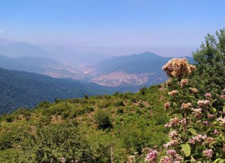 راهنمای کامل سفر به مازندران | نگین سبز شمال ایران