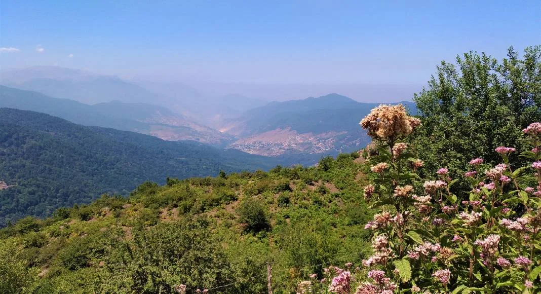 راهنمای کامل سفر به مازندران | نگین سبز شمال ایران