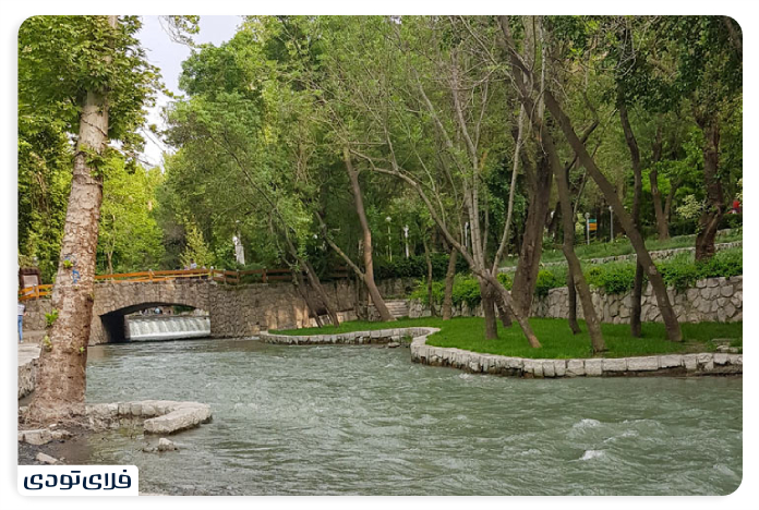 پارک جنگلی وکیل‌آباد