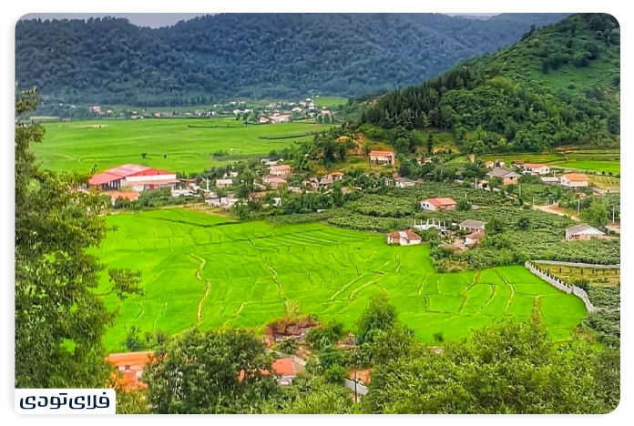 جنگل های هیرکانی جنگل لیسار گیلان