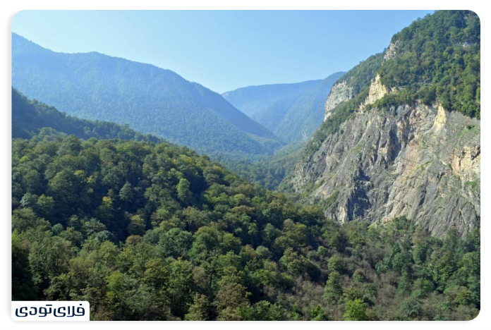 جنگل های هیرکانی جنگل های هیرکانی کجاست؟