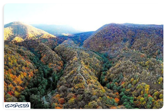 جنگل های هیرکانی قدمت جنگل های هیرکانی