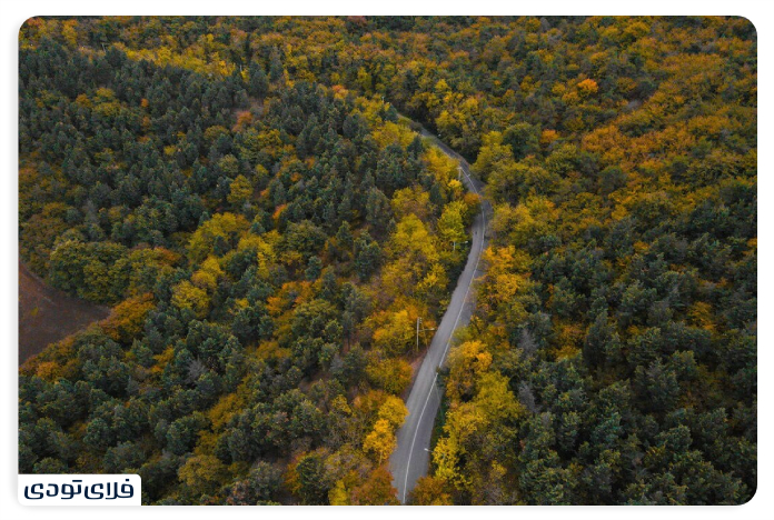 جنگل های هیرکانی مسیر دسترسی به جنگل های هیرکانی