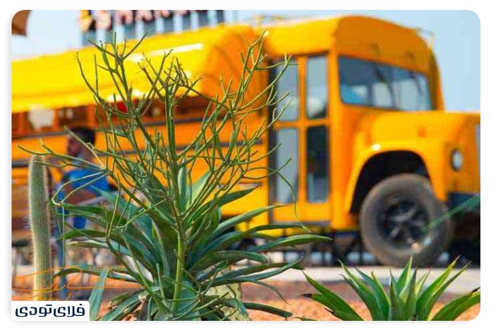 جاهای دیدنی کیش در پاییز