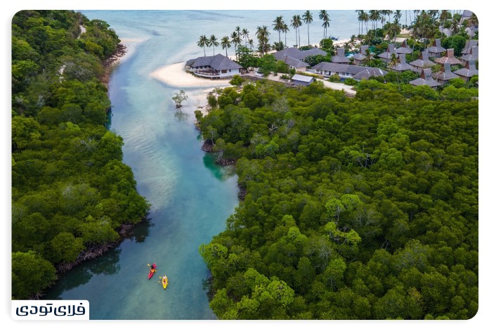 جزایر فی فی کو فی فی له