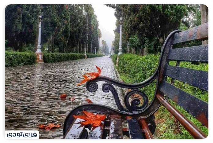 پاییز شمال کجا برویم پاییز شمال کجا برویم؟ | محبوب ترین جاذبه های پاییزی شمال