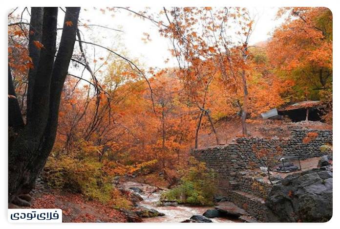 پاییز شمال کجا برویم پاییز شمال کجا برویم؟ | محبوب ترین جاذبه های پاییزی شمال