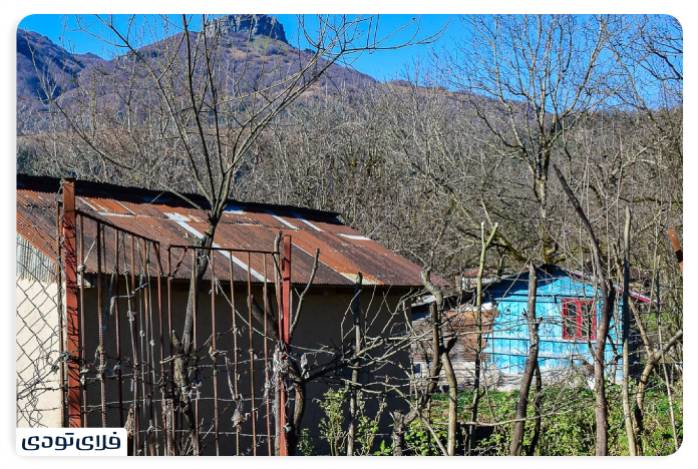 پاییز شمال کجا برویم پاییز شمال کجا برویم؟ | محبوب ترین جاذبه های پاییزی شمال