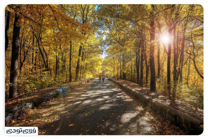 پاییز شمال کجا برویم پاییز شمال کجا برویم؟ | محبوب ترین جاذبه های پاییزی شمال