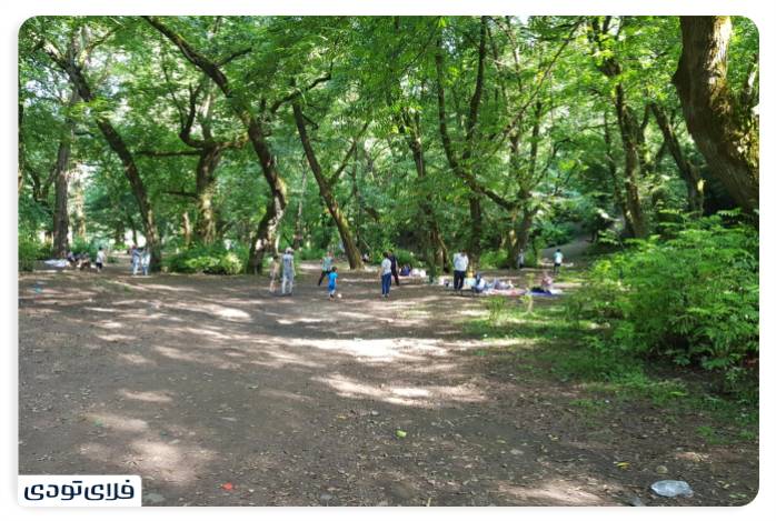 پاییز شمال کجا برویم پاییز شمال کجا برویم؟ | محبوب ترین جاذبه های پاییزی شمال