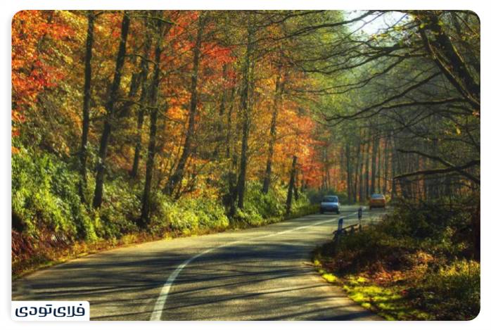 پاییز شمال کجا برویم پاییز شمال کجا برویم؟ | محبوب ترین جاذبه های پاییزی شمال