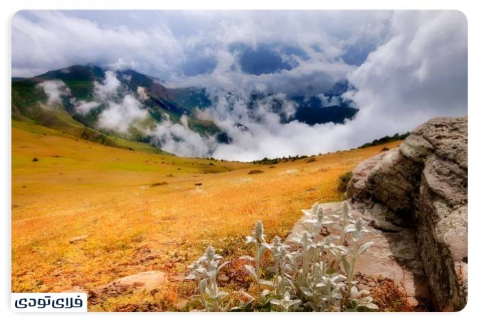 پاییز شمال کجا برویم پاییز شمال کجا برویم؟ | محبوب ترین جاذبه های پاییزی شمال