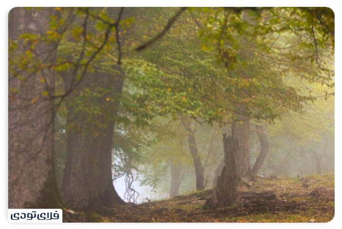 پاییز شمال کجا برویم پاییز شمال کجا برویم؟ | محبوب ترین جاذبه های پاییزی شمال