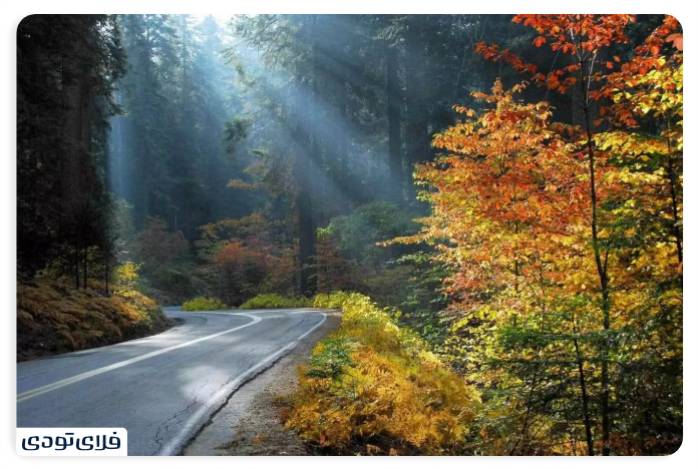 پاییز شمال کجا برویم پاییز شمال کجا برویم؟ | محبوب ترین جاذبه های پاییزی شمال