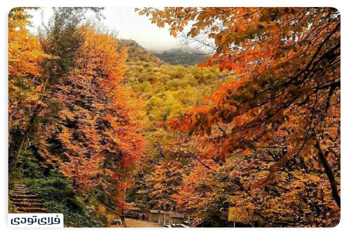 پاییز شمال کجا برویم پاییز شمال کجا برویم؟ | محبوب ترین جاذبه های پاییزی شمال