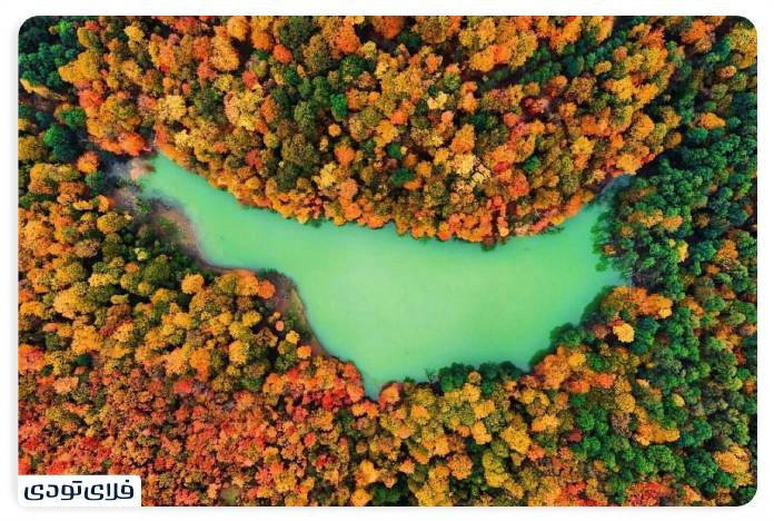 پاییز شمال کجا برویم پاییز شمال کجا برویم؟ | محبوب ترین جاذبه های پاییزی شمال