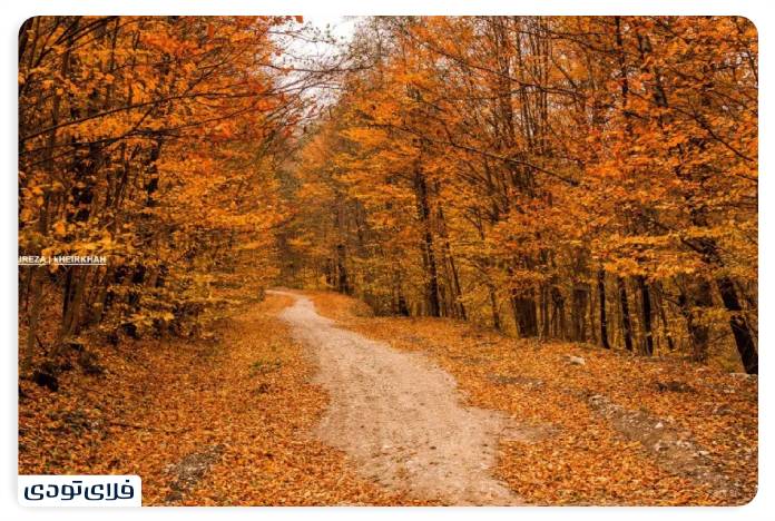 پاییز شمال کجا برویم پاییز شمال کجا برویم؟ | محبوب ترین جاذبه های پاییزی شمال