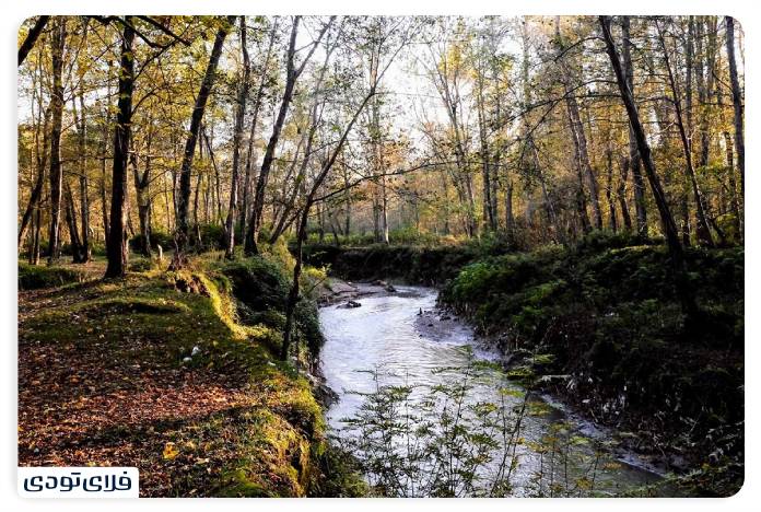 پاییز شمال کجا برویم پاییز شمال کجا برویم؟ | محبوب ترین جاذبه های پاییزی شمال